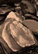Rock Detail