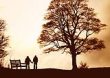 Romantic Walk