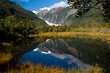 Frans Joseph Reflection