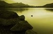 Sepia Lake