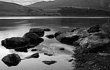 Rocky Shore
