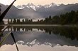 Lake Matheson Through Reeds