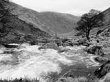 Scottish Glen