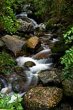 Rushing Stream