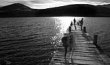 Ghostly Jetty