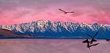 Evening over Remarkables