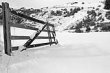 Snowy Gate
