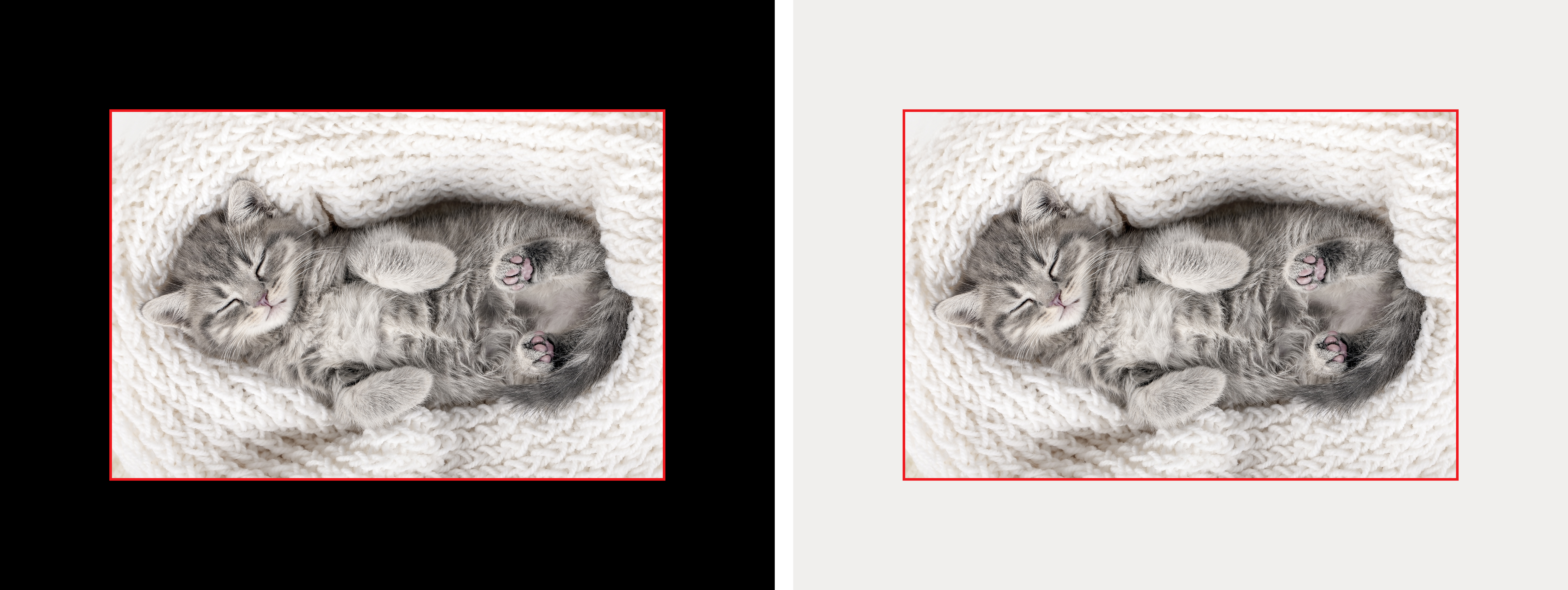 Plain Border Example